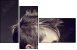 43317658