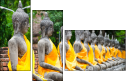43653250