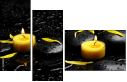 43880281