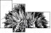 44646006