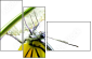 44679167