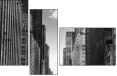 44846834