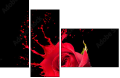 45070058