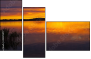 45070477