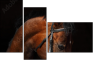 46187059
