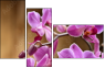 48156250