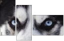 48885993