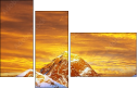 48905885