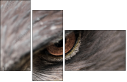 49245808