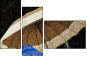 49306047