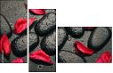 49357610