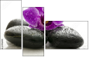 49566180