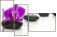 49566256
