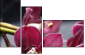 49633319