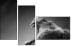 49654340