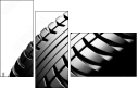 49674253
