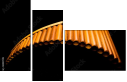50197019
