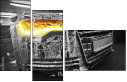 50351832