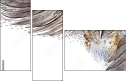 50509602
