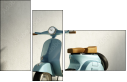 50981081