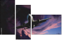 51192902