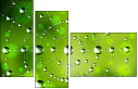 51217403