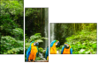 51933543