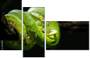52158652