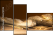 52670728