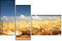 52793015