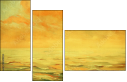 53049559