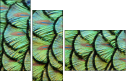 53512479