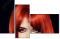 53895849