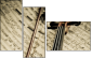 54506799