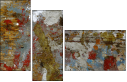 55026484