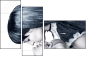 55810226