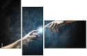 55886651