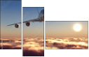56401870