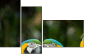 56795972