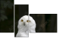 57060206