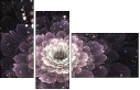 57185040