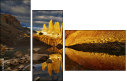 57649944