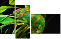 57907029
