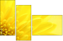 57915870