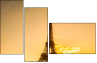 58384995
