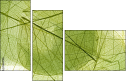 58647115