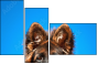 58783058