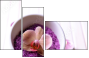 59034418