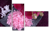 59389806