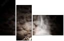 59781702